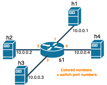 P1_topology